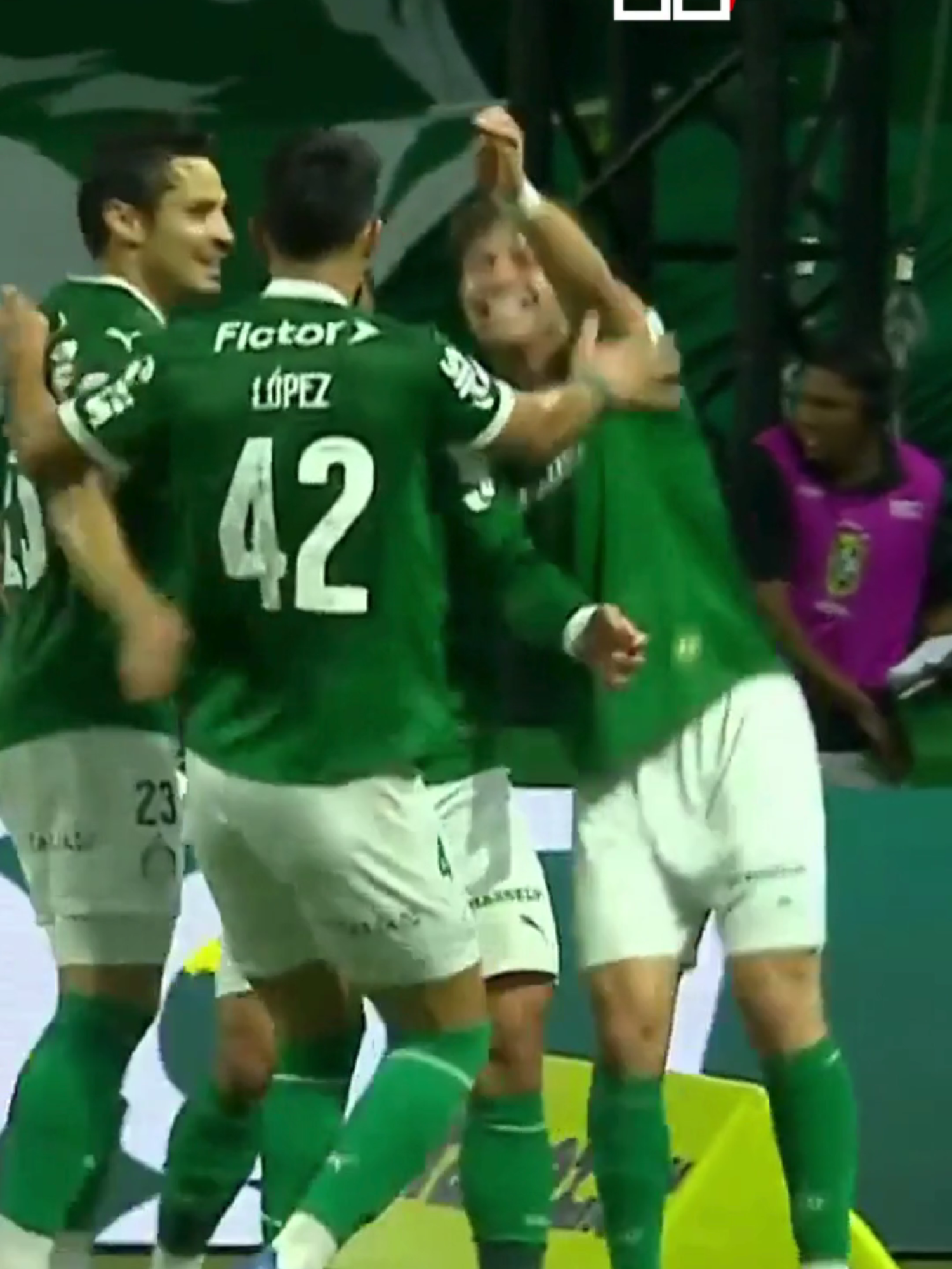 GOL DE VITOR ROQUE DO PAMEIRAS CONTRA O VASCO #palmeiras #vasco #futebol #brasileirao #vitorroque