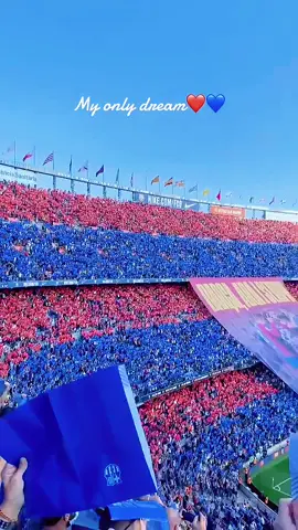 اذا لم تكون معاها في الخسارة لا نحتاجك وقت الفوز فيسكا برسا فيسكا كتالونيا 🔵🔴 #fcbarcelona #spotify #برشلونة #فيسكا_برسا_دائماً_وابداً🔵🔴 #الشعب_الصيني_ماله_حل😂😂 