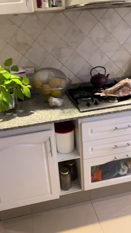 ramona parpadea si necesitas ayuda!!!