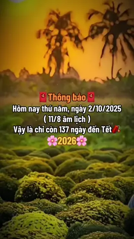 Chỉ còn 137 ngày nữa thôi mọi người ơi🧨🎇🧧🌸#tetnguyendan2026🧧🎆🧨 #thinhhanh #CapCut #xuhuong #fyp 