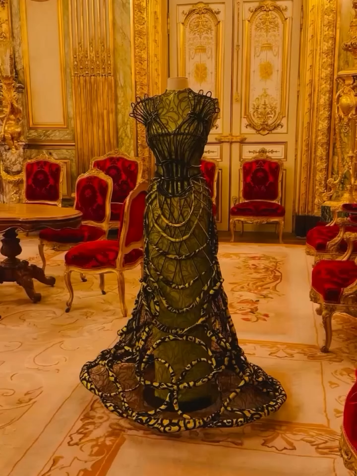 Australian costume designer Lizzy Gardiner made Oscar history in 1995 when she accepted her award wearing a dress made from 254 expired American Express Gold cards. Originally designed as a costume for 