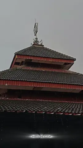 #gusbaha 
