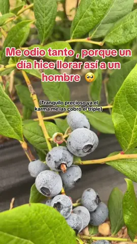 🥺#foryoupage #viral 