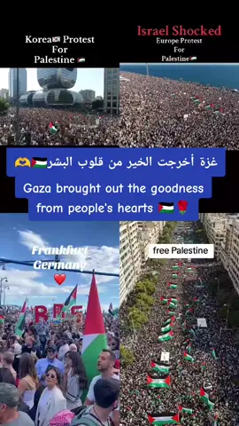 #LIVEIncentiveProgram #LIVERecognition #PaidPartnership Gaza 🇵🇸❤️