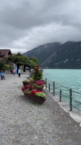 للي يحب الطبيعة لايروح لسويسرا إلا اخر شي لأنه بيشوف اي شي بعدها عادي 🇨🇭 #foryoupage #switzerland #Explore #fyp #tiktok 