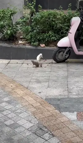 Giải quyết mâu thuẫn ^^