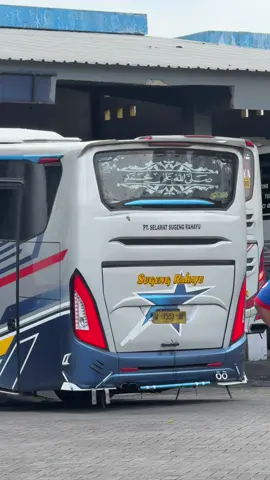 Pesona 🐬 Balap - Sugeng Rahayu W 7553 UP (Boss Menik) #viral #fyp #fypシ゚ #foryourpage #sumbergroup 