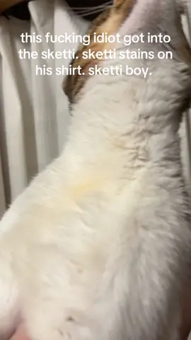 skeetti