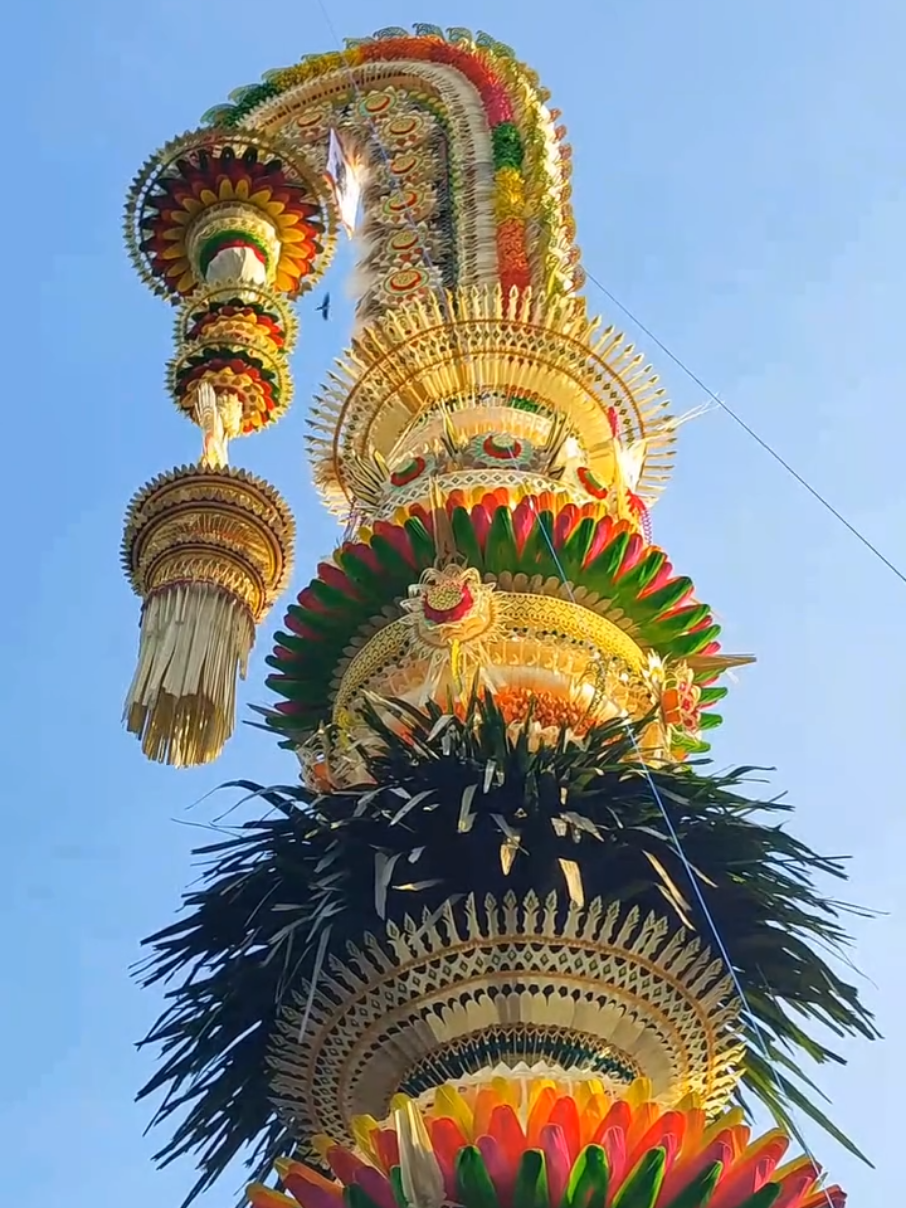 Penjor hias STT se-Desa Adat Kapal - Mengwi (02/10/2025) dalam rangkaian acara tradisi aci tabuh rah pengangon pada tanggal 6 Oktober 2025 Video by @swasthikawijaya #penjor #penjorbali #desakapal #badung #bali 