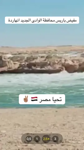 #السيسي_مصر🇪🇬 #الشعب_الصيني_ماله_حل😂😂 #fyp #السيسي_رئيسي_وافتخر_فيه #الجيش_المصري 