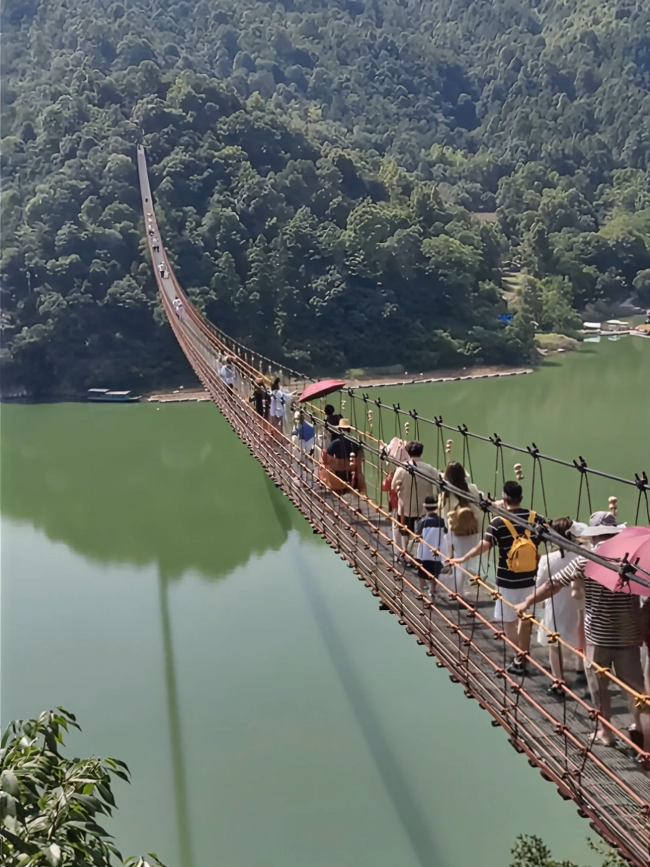 惊险一幕！吊桥坍塌，人群四散尖叫！ Terrifying Moment! Suspension Bridge Collapses and People Run in Panic! #bridgecollapse #disaster #viralvideo #trending #caughtoncamera #nature #mustwatch #survival #scarymoment