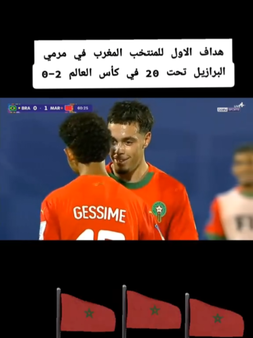 مباراة المغرب والبرازيل تحت 20 في كأس العالم2-0