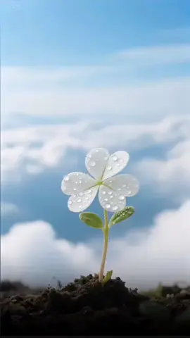 قال رسول الله ﷺ:🌹🌿 «مَن صلَّى عليَّ صلاةً واحدةً، صلَّى اللهُ عليه عشرًا». #صلوا_عليه_وسلموا_تسليما  #صباح_الخير #صباح_الوررد  #اصباحنا_و_اصبح_الملك_لله #اللهم_صل_على_نبينا_محمد 