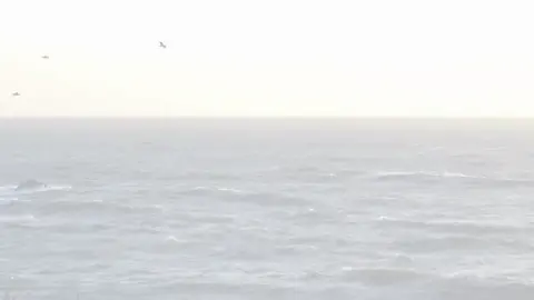 عبدالله ترجع بسلامه 💔🌿 #باسم_الكربلائي_ 