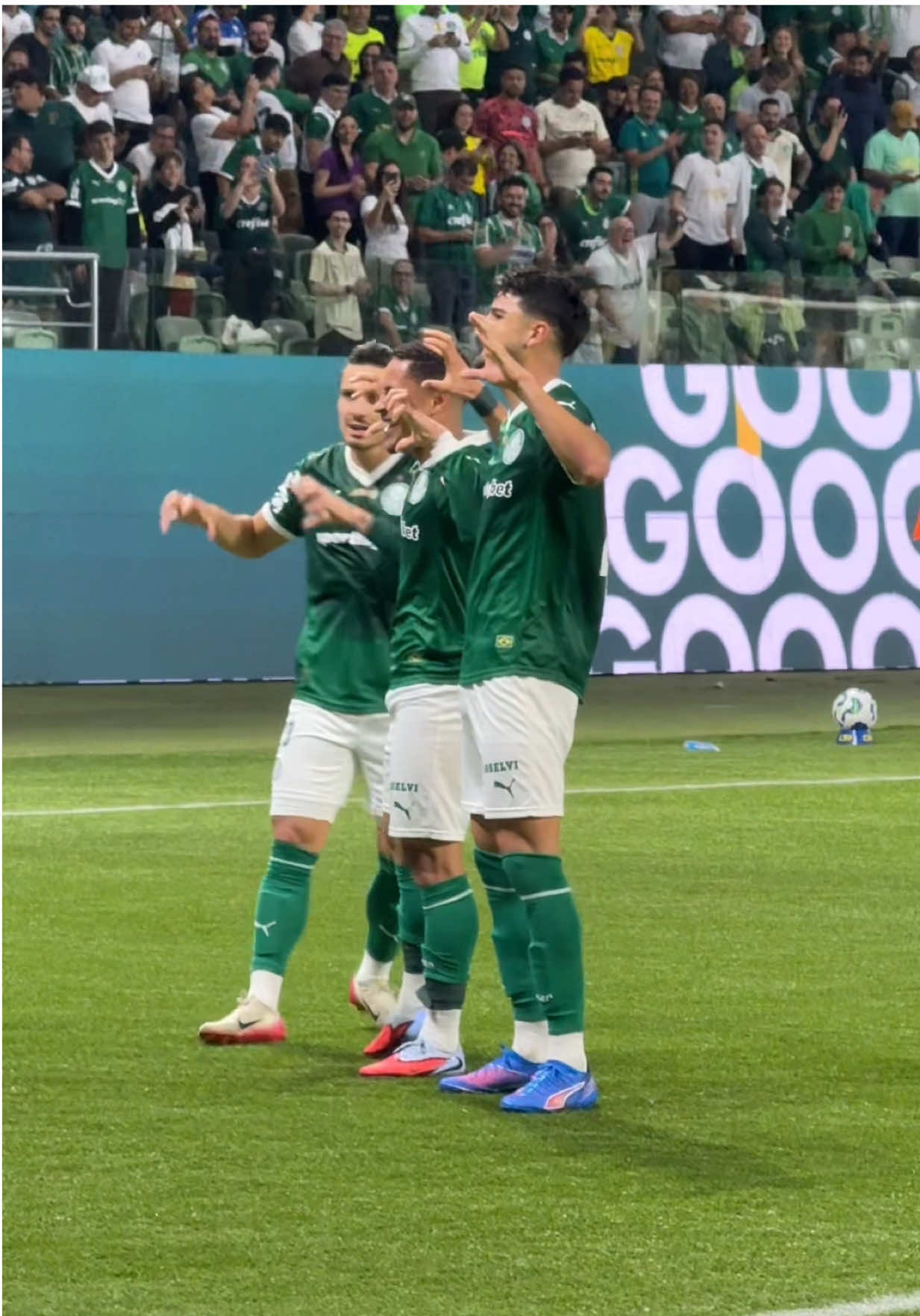 Os gols da 5ª vitória seguida do #MaiorCampeãoDoBrasil sobre o Vasco, a 5ª sem ser vazado! 💚⚽️ #TikTokEsportes #Palmeiras 