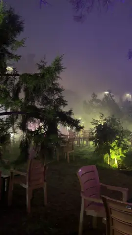 #fyp #fog #ابها 