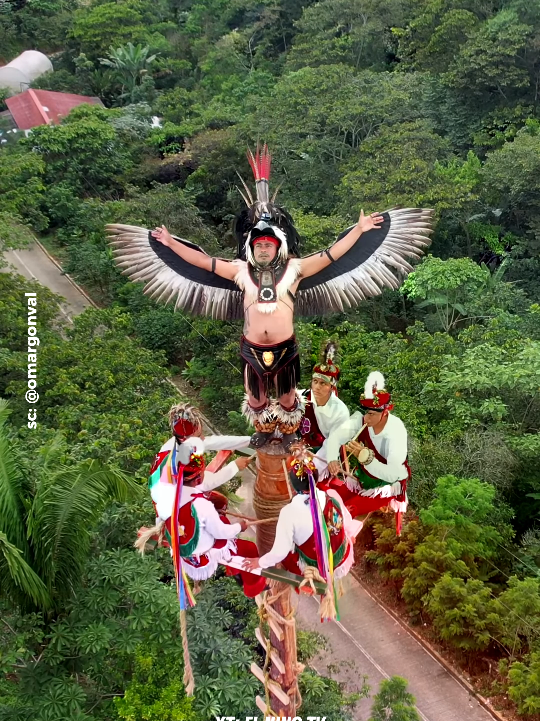 The Danza de los Voladores or Dance of the Flyers . Credit: @omargonval . Follow Our Social Media: TT: @el_nino_tv IG: e_nin0_tvl FB: El Nino TV YT: EL NINO TV #danza #voladores #dance #mexico #méxico #trending #viral #viralvideo #viraltiktok #trending #fyp #fypシ゚