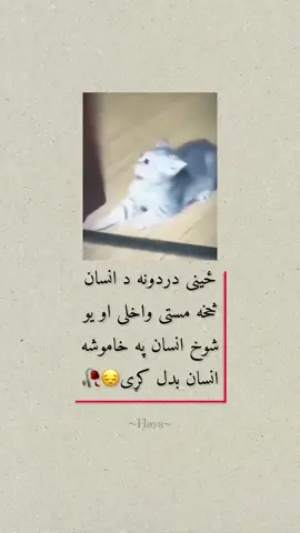 🥹❤️‍🩹#haya_05 #viraltiktok #viralvideo #unfrezzmyaccount 