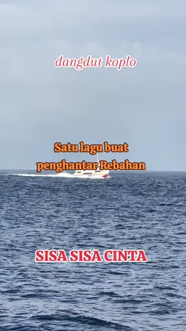 sisa sisa cinta #sisasisacinta #dangdutkoplo #rebahan 