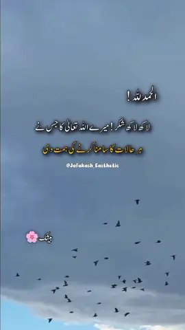 heart touching vibe 🌸🫶  #islamic #writes #aqwal_ezareen #grow #1millionaudition #qoutes #vibe #akhlaq #foryoupage #unfeezmyaccount #jafakash_aesthetic 