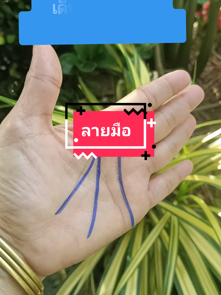 #ลายมือ #ดูลายมือ #สักลายมือ  #สักลายมือเศรษฐี #จี้ไฝ @มาลี  สายมู @มาลี  สายมู 