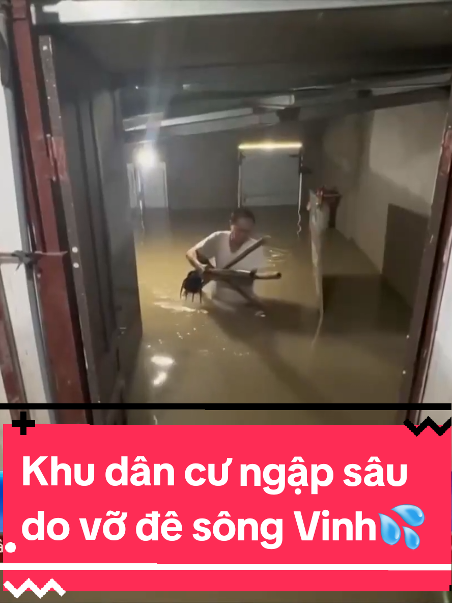 #VTV8 #tinnong #nghean #nghean37 #ngheanquechoa 