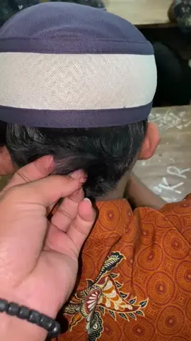 🕊#merpatilovers #trendingtiktok #kolonganmerpati  #tkr3 