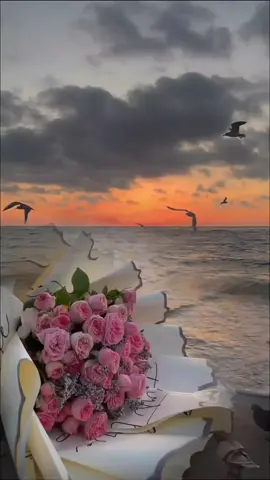 صبــــــــــــاحكم خــــــــــــــيرآ من الله 💚💚#دعاء_الصباح #اصبحنا_واصبح_الملك_لله #foryoupage #fup #تصاميم_ورد🌸 