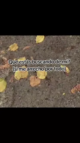 #micontenido #music #Vnzla🇻🇪 #salsabaul dimeeee que buscaas