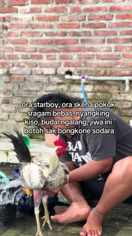 Aduh dekk #fyp 