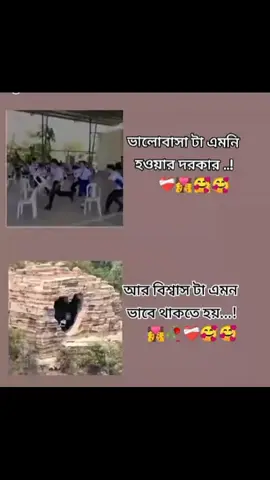 #সবাই_একটু_সাপোর্ট_করবেন_প্লিজ #foryoupage #vairalvideo #highlight 