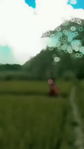 🖤ভালোবাসা গোপনে সুন্দর, বুকের মধ্যে যত্ন করে রাখতে হয়, জনে জনে ছড়িয়ে দাও জিনিস, ভালোবাসা না..🖤🌸