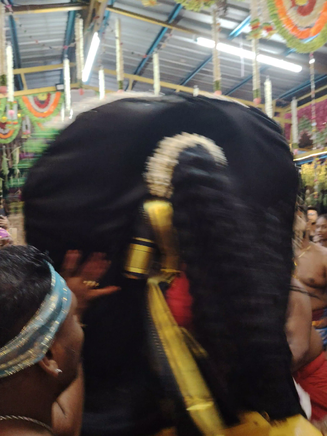 #rivenarri #riven #sreeathisaktirajakaliammansentosa #sreeathisaktirajakaliamman #vijayadasami 