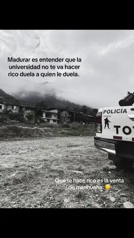 🤫 #fpyシviral #contenido #facts 