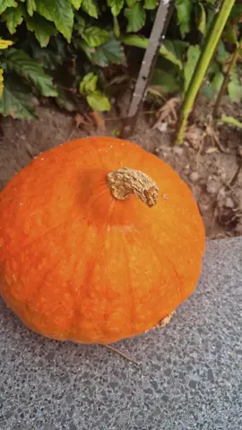 October is going to be a 