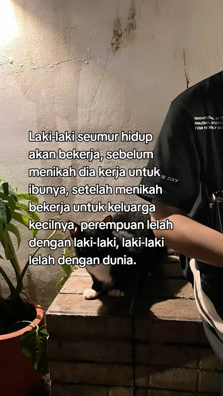 hakikat laki-laki😊😊 #storytime⏳ #foryoupage❤️❤️ #storywhatsapp #katakata 