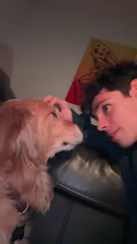 te amo duko #fyp #parati #perros #trend 