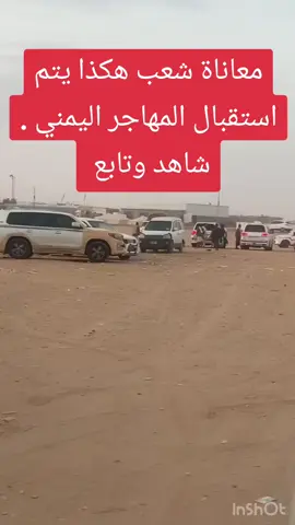 #نص_إلى_كلام 