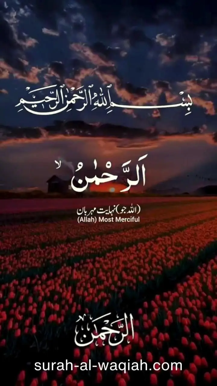 #القران_الكريم #islamic_video #القران_الكريم_راحه_نفسيهquran 