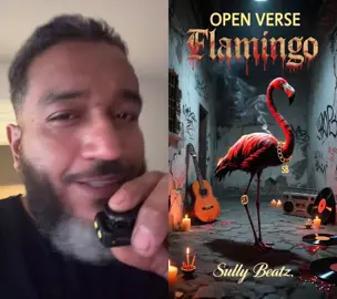 #duet with @Sully Beatz #sullybeatz 