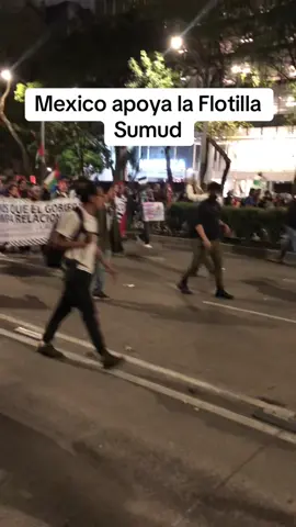 Mexico apoya la Flotilla Sumud #resistencia #palestinelibre🇵🇸 #palestinewillbefree #stopgenocide #ceasefire 