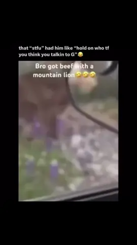 😂😂😂😂