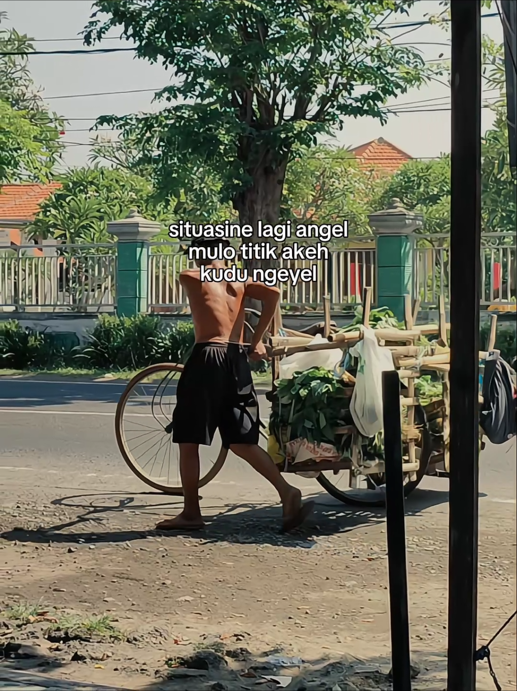 🍃 #sidoarjo24jam 