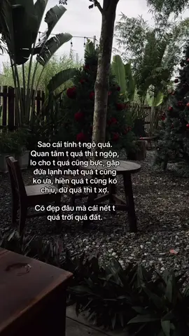 Riết chó nó còn ghécc 💔 #viral #xuhuongtiktok #xhtiktok 