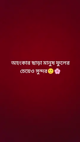 🌸🌸🌸🌸🌸🙂