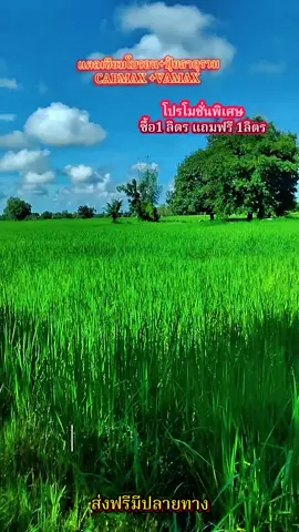 #cabmax #VAMAX #สินค้าปังดันยอดขาย 