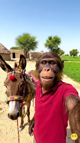Naveed, name comment karo, #monkeyvideos #fyp #viral 