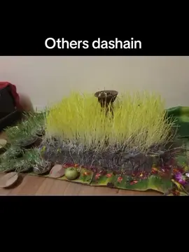 others dashain vs my dashain #fpyツ #foryou #trending #achhamuser 