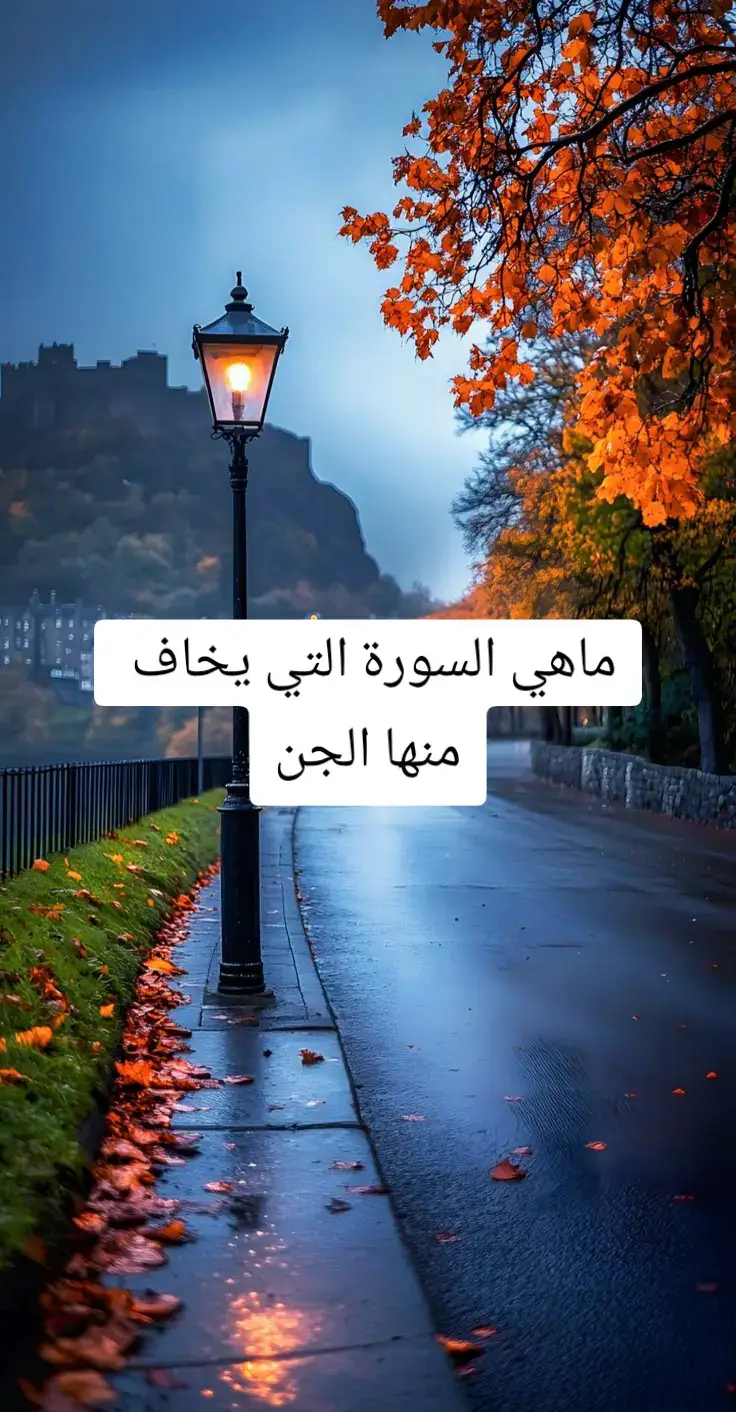 #سورة_الفلق #سورة_المؤمنون 
