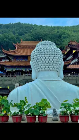 中国南京 cảnh đẹp  #trungquocnamkinh 